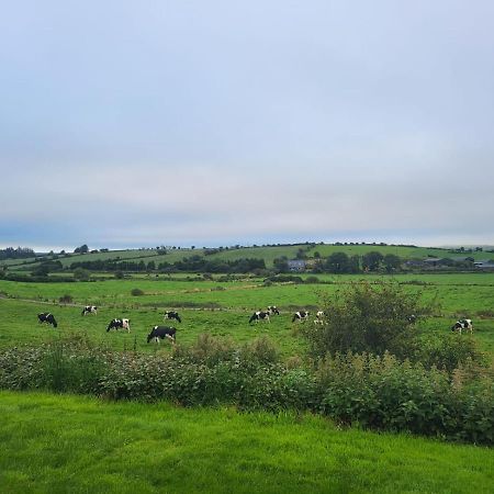 Radharc Na Greine Apartment Cork Bagian luar foto