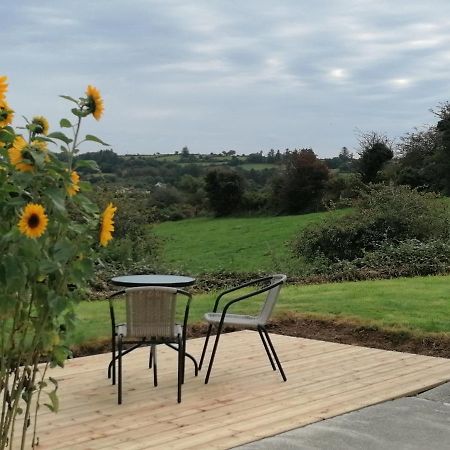 Radharc Na Greine Apartment Cork Bagian luar foto