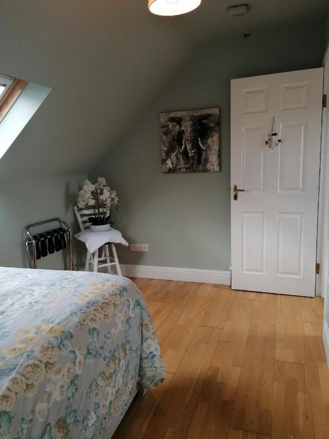 Radharc Na Greine Apartment Cork Bagian luar foto