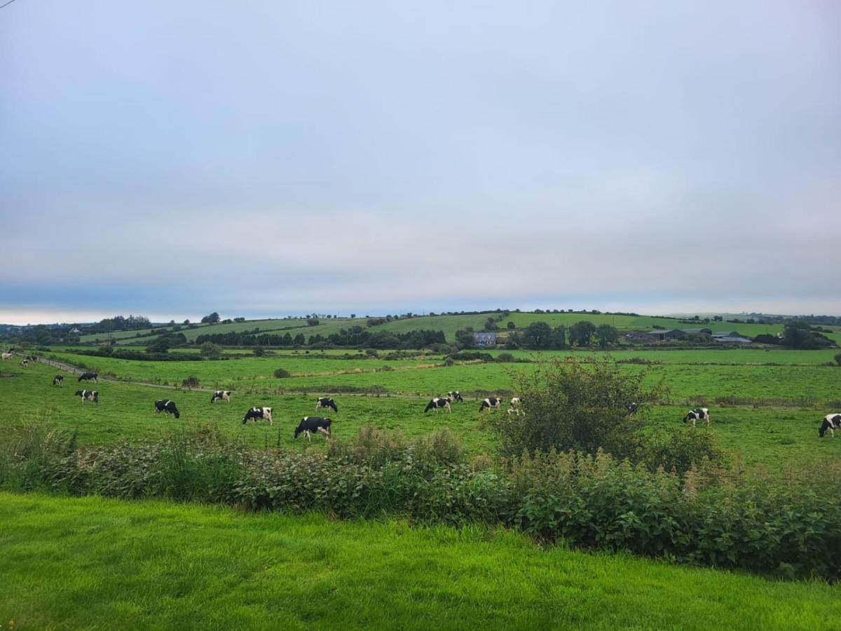 Radharc Na Greine Apartment Cork Bagian luar foto