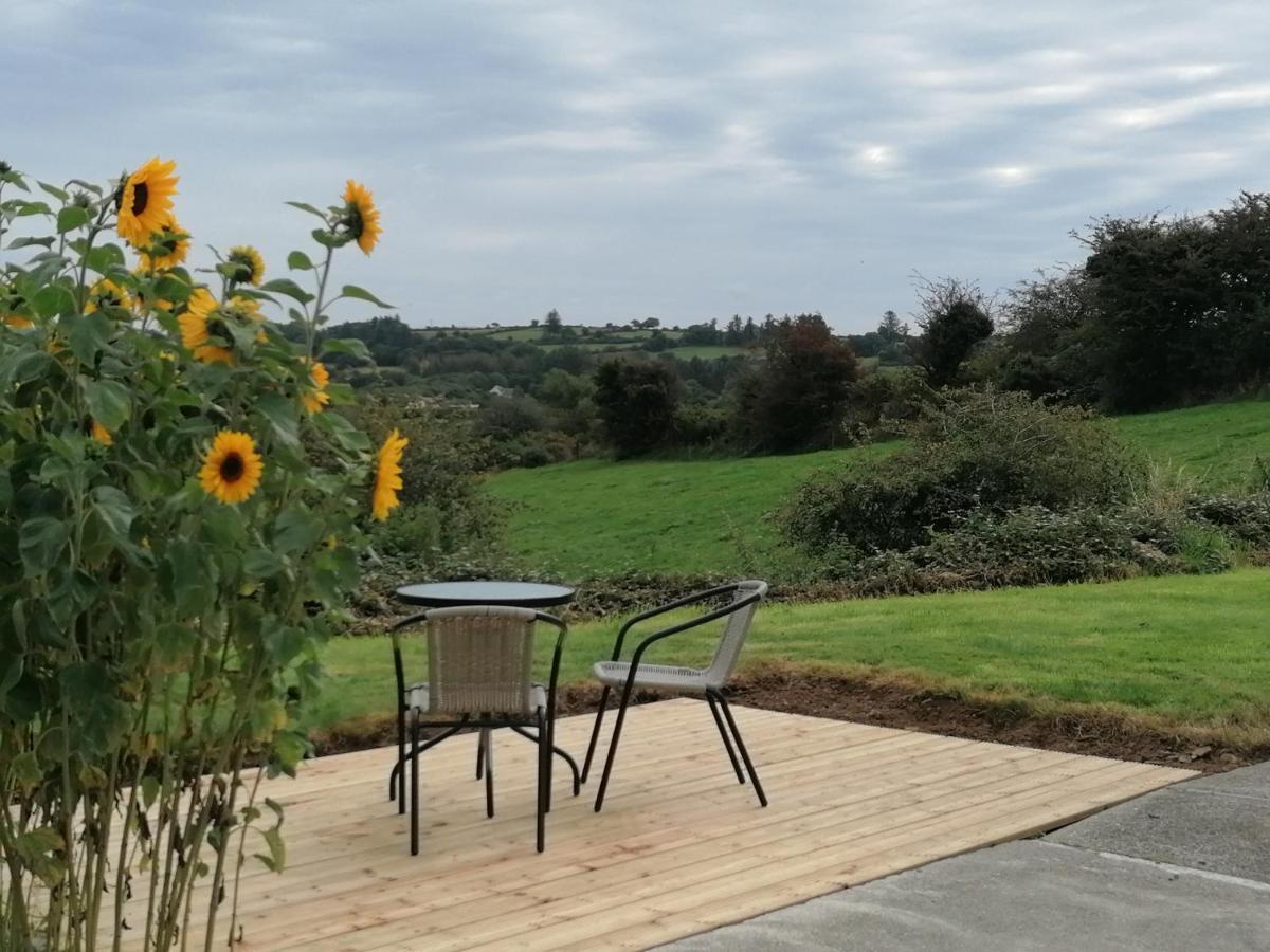 Radharc Na Greine Apartment Cork Bagian luar foto